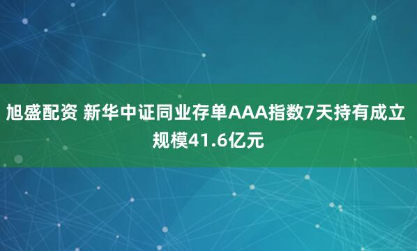 旭盛配资 新华中证同业存单AAA指数7天持有成立 规模41.6亿元