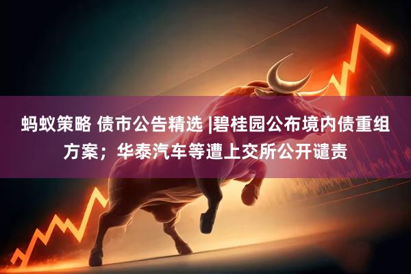 蚂蚁策略 债市公告精选 |碧桂园公布境内债重组方案；华泰汽车等遭上交所公开谴责
