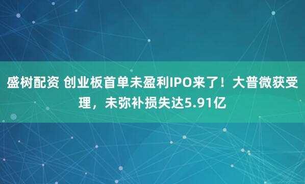 盛树配资 创业板首单未盈利IPO来了!大普微获受理,未弥补损失达5.91亿